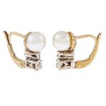 Earrings, 19th/20th century