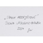Sylwia Walkowicz-Nowak (née en 1994 à Cracovie), « États transitoires », 2024