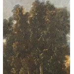 ANONIMO, Landscape