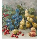 Cocco, Still life - Cocco