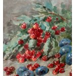 Cocco, Still life - Cocco