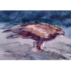 Alexander Franko, Il predatore