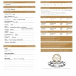 Natural diamond, 0.15 CT, Si2 GROSS PRICE: approx. 3,900 PLN