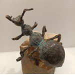 Rafał Cywiński. Bronze sculpture Ant