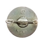 ODZNAKA NSDAP - M1/63