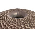 Henryk Lula, Radiolaria (silver), 1998