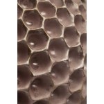 Henryk Lula, Radiolaria (silver), 1998