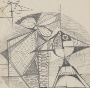 Wiesław Sawczuk, Projekt patery 
