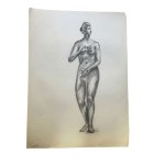 Set of 15 pieces, consisting of fifteen academic drawings executed in charcoal and charcoal pencil on heavy paper