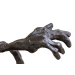 Tomasz Koclęga (ur. 1968), Splendor Fragilis, 2026