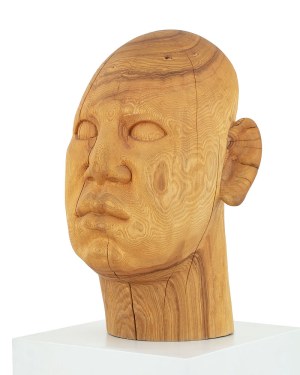 Ewa Dąbrowska (ur. 1989), Wojownik, 2022