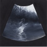 Rafał Bujnowski (b. 1974, Wadowice), Untitled (triptych), 2005