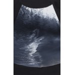 Rafał Bujnowski (b. 1974, Wadowice), Untitled (triptych), 2005