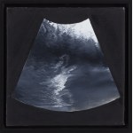 Rafał Bujnowski (b. 1974, Wadowice), Untitled (triptych), 2005