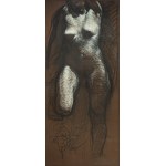 Franciszek Starowieyski (1930 Bratkówka k. Krosna - 2009 Warszawa), Akt, 1988