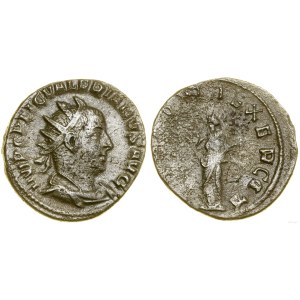 Rímska ríša, antoninian z mincovne, (253–254), Rím