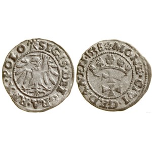 Poland, szeląg, 1538, Gdańsk