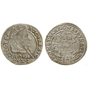 Polska, grosz na stopę polską, 1567, Tykocin