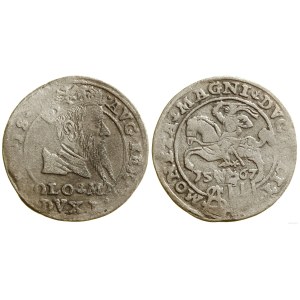 Polska, grosz na stopę polską, 1567, Tykocin