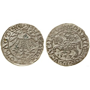 Polonia, mezzo grosz, 1557, Vilnius