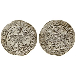 Poland, half-grosz, 1560, Vilnius