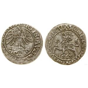 Poland, half-grosz, 1565, Vilnius