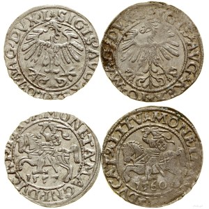 Polska, lot 2 x półgrosz, 1557, 1560, Wilno