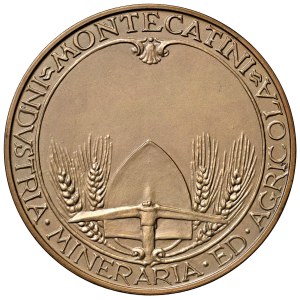 Italian Medals - PERIODO FASCISTA. Medaglia senza data. INDVSTRIA M...