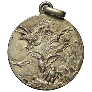 Italian Medals - PERIODO FASCISTA. Regia Accademia Aeronautica. Med...