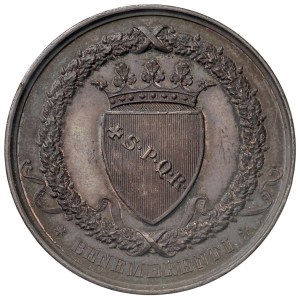 Italian Medals - SAVOIA. Regno d'italia. Medaglia S.P.Q.R. Benemere...