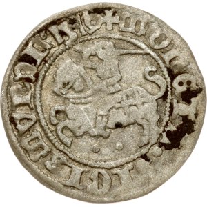 Litauen Polgrosz 1516 Vilnius