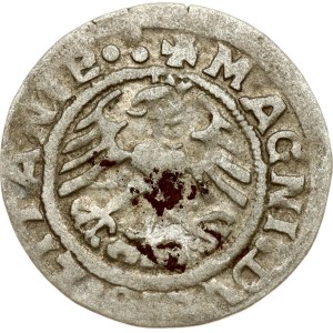 Litauen Polgrosz 1519 Vilnius