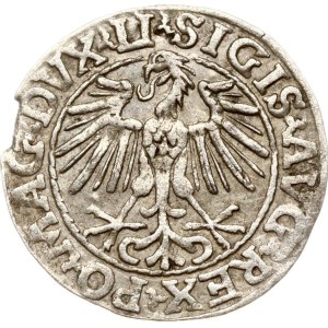 Litauen Polgrosz 1548 Vilnius