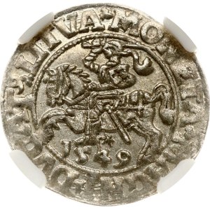 Lituania Polgrosz 1549 Vilnius NGC MS 64