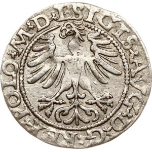 Litauen Polgrosz 1565 Vilnius
