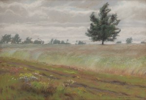 Józef Rapacki (1871 Warszawa - 1929 Olszanka k. Skierniewic), 