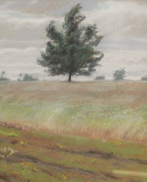 Józef Rapacki (1871 Warszawa - 1929 Olszanka k. Skierniewic), 