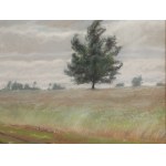 Józef Rapacki (1871, Warsaw – 1929, Olszanka near Skierniewice), Young Rye, 1924