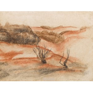 Bolesław Cybis (1895, Gut Massandra auf der Krim – 1957, Trenton (New Jersey, USA)), Sträucher auf den Hügeln, 1925