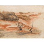 Bolesław Cybis (1895 Folwark Massandra na Krymie - 1957 Trenton (New Jersey, USA)), Krzewy na wzgórzach, 1925