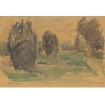 Zygmunt Radnicki (1894 - 1969), Pejzaż ze Skoków, 1956