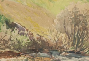 Friedrich Iwan (1889 Kamienna Góra - 1967 Wangen), Chata na wzgórzu
