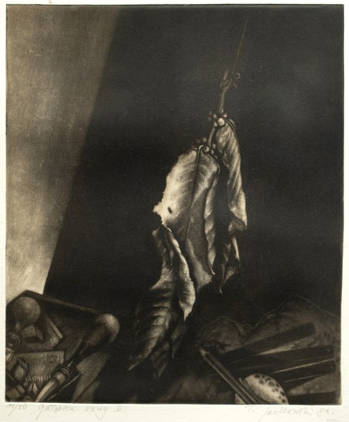 Tadeusz Jackowski (ur. 1936), Gałązka kawy II, 1982