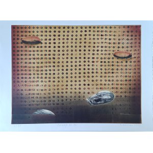 Tomasz Daniec (b. 1973), Disposal No. 1B, 1999