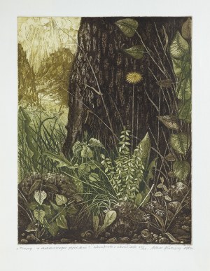 Adam Kwaśny, TRAWY (Para grafik), 1983