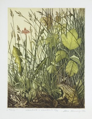 Adam Kwaśny, TRAWY (Para grafik), 1983