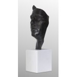 Waldemar Mazurek, THE NEW MAN