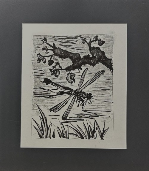 Pablo Picasso (1881-1973), Libellule (Ważka) z cyklu 31 rycin do tekstów Buffona, 1970