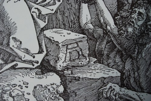 Albrecht Dürer (1471-1528) 