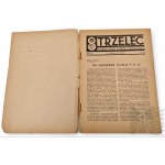 Seconda Repubblica Polacca, rivista “Strzelec”, settimanale ufficiale dell’Unione dei Tiratori, n. 45, 11 novembre 1934